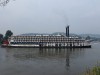 American Queen American Queen