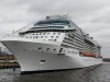 Grillparty am grünen Rasen der Celebrity Silhouette