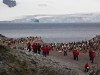 Pinguin-Kolonie in Half Moon Bay