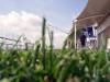 Echter Rasen auf der Celebrity Eclipse