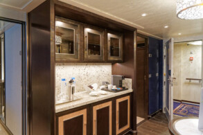 Penthouse Suite 917