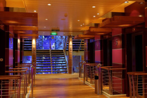 Treppenhaus - Aquarium-Displays