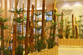 Vitality Cafe