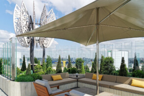 Rooftop Garden