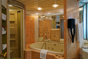Penthouse Suite 10003