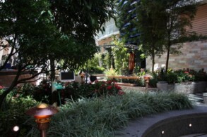 Central Park - Oasis of the Seas