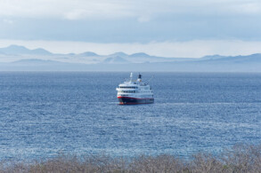 Santa Cruz II