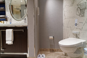 Penthouse Suite 917