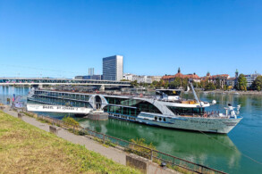 Edelweiss in Basel