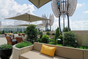 Rooftop Garden