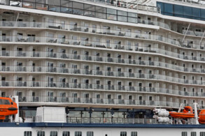 Celebrity Silhouette