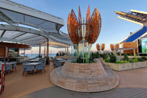 Rooftop Garden