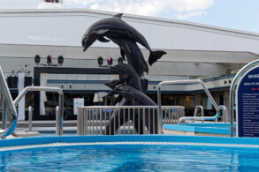 Pooldeck