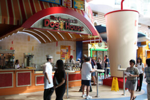 Boardwalk Dog House