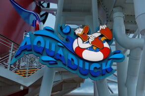Aqua Duck