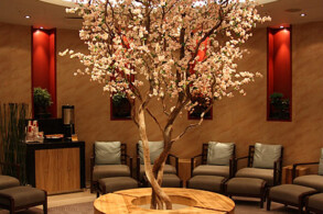 Relaxation Room