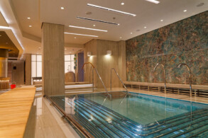 Wellness Area