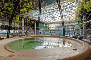 Botanical Garden Pool