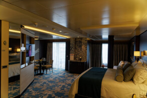 Haven Courtyard Penthouse Wheelchair (H5)