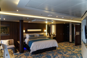 Haven Courtyard Penthouse Wheelchair (H5)