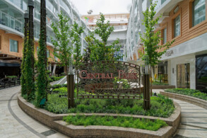 Central Park
