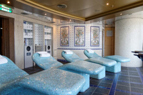 Thermal Suite