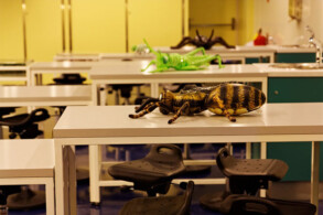Adventure Science Lab