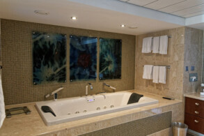 Penthouse Suite 1617
