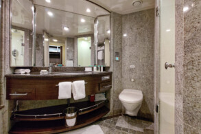 Penthouse Suite 11077