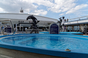 Pooldeck