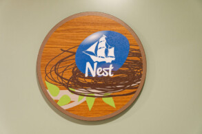 Baby Nest