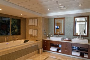Penthouse Suite 1617