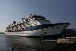 Celebrity Summit