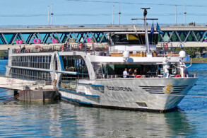 Edelweiss in Basel