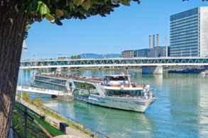 Edelweiss in Basel