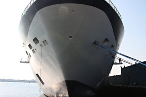 Celebrity Summit