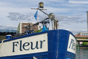 Fleur