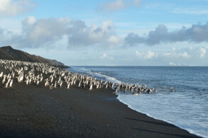 Baily Head Beach