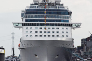 Celebrity Reflection