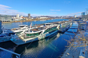 MS Joy in Linz