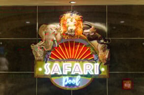 Safari Pool