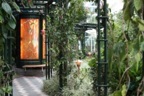 Central Park - Oasis of the Seas