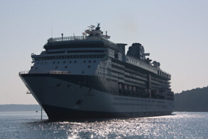 Celebrity Summit