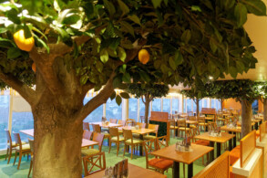 Markt-Restaurant Buffet