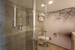 Junior-Suite 10067