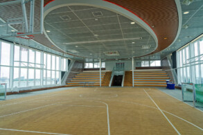 Arena