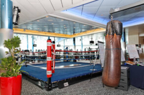 Fitness-Center: Box-Ring