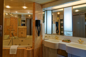 Penthouse Suite 10003