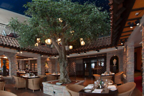 Restaurants