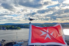 FLagge, Möwe
